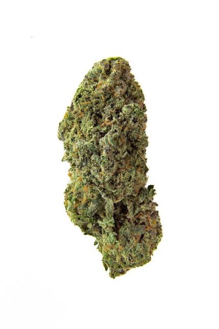 Bandwagon Sativa (Rotating Strain)