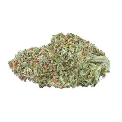Organic Amsterdam Cherry Mints