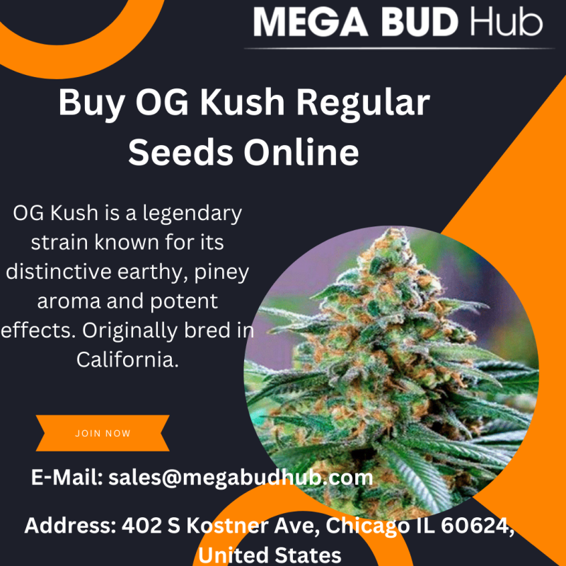 Buy OG Kush Regular Seeds Online