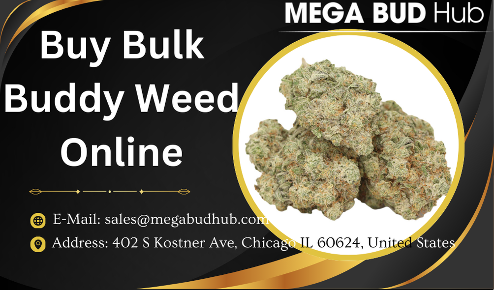 Buy Bulk Buddy Weed Online