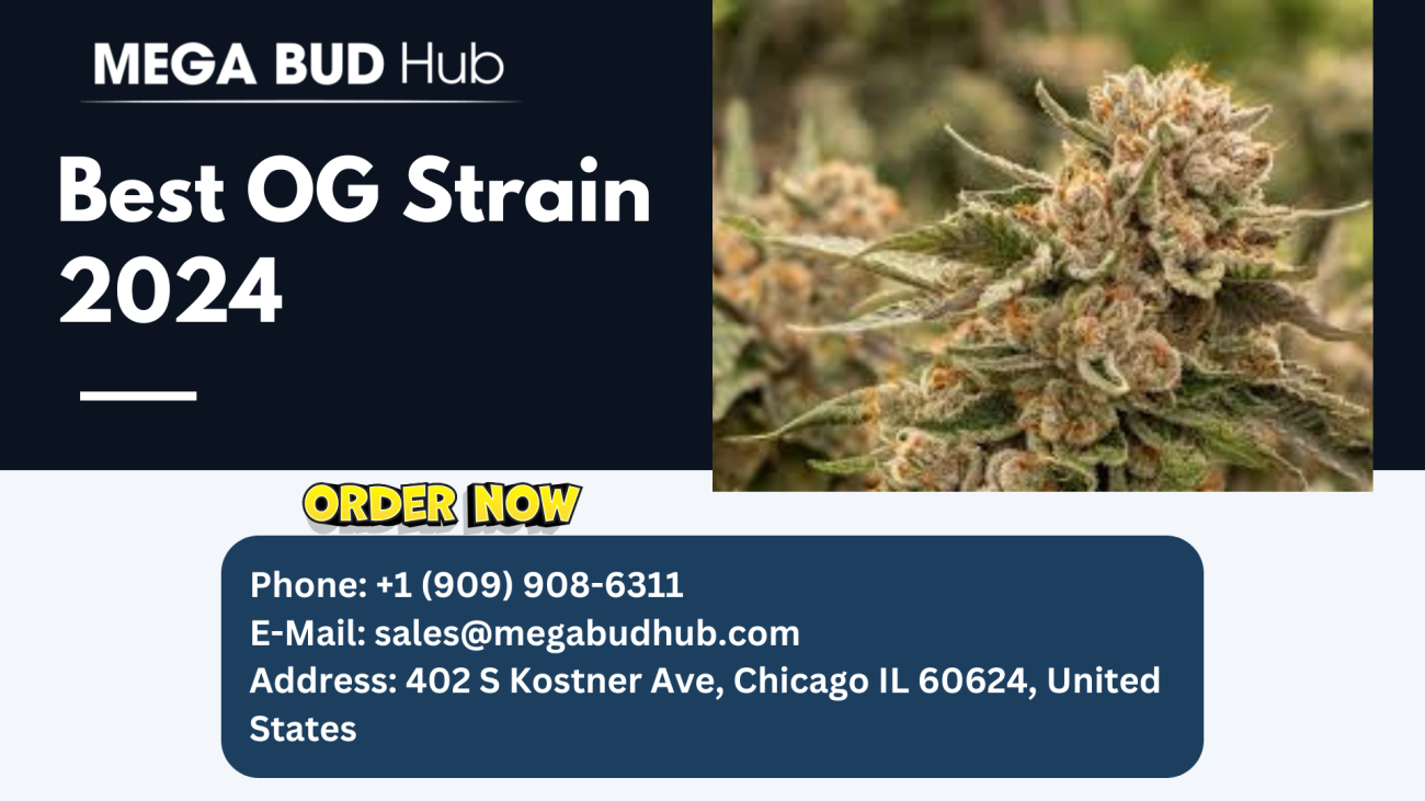 Best OG Strain 2024